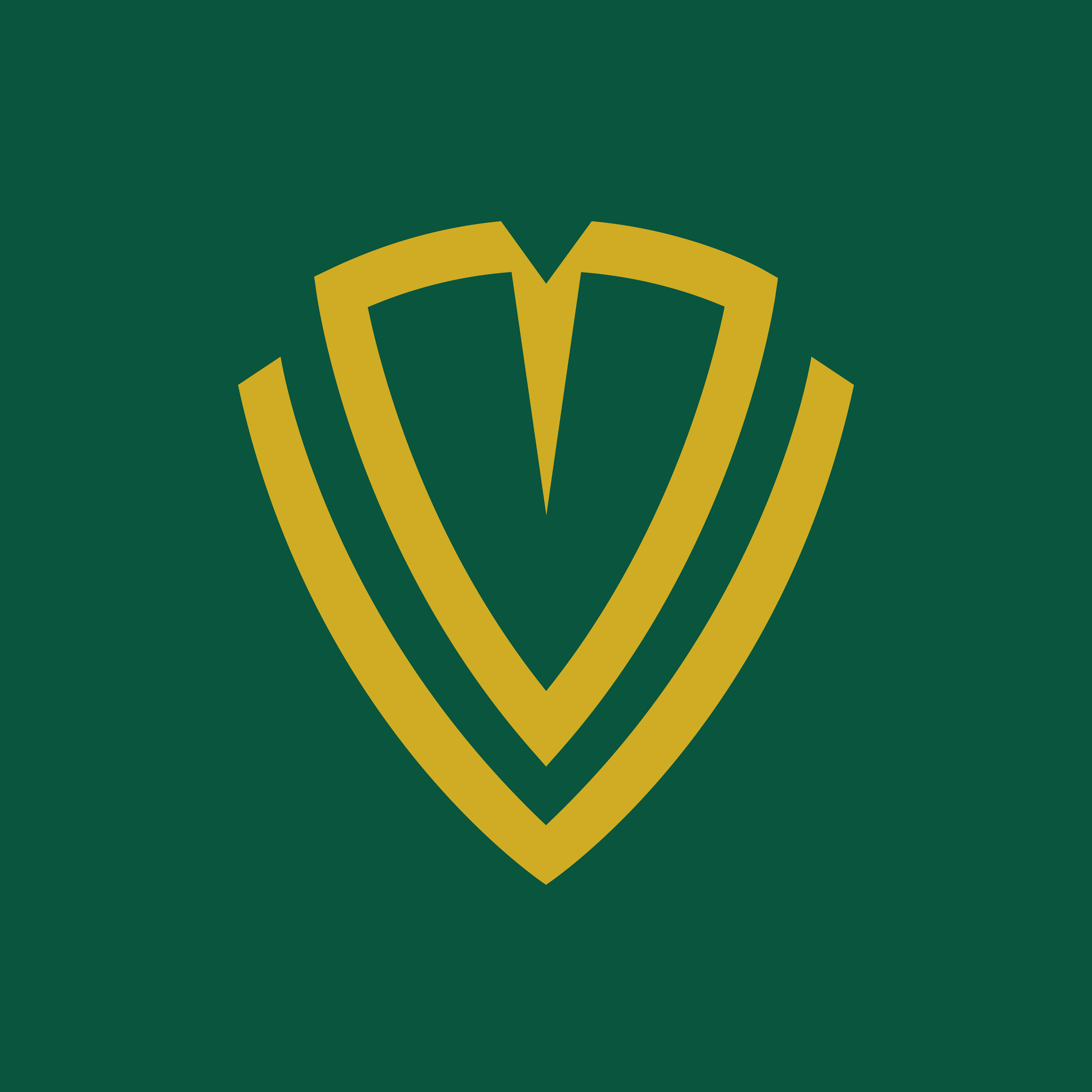 IPROTECT Logo